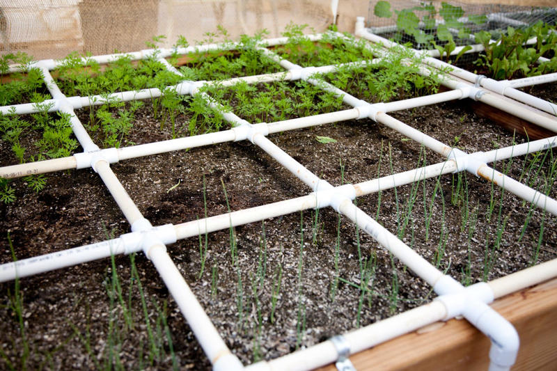 What Is a Square Foot Garden? , The Pros and Cons of Square Foot Gardening, How to Set up a Square Foot Garden, The Rules of Square Foot Gardening , What to Plant in a Square Foot Garden