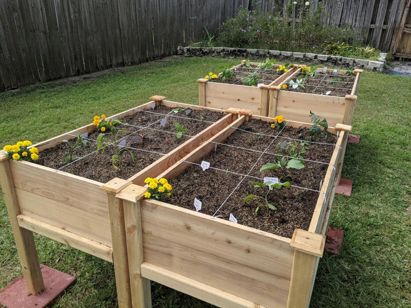 What Is a Square Foot Garden? , The Pros and Cons of Square Foot Gardening, How to Set up a Square Foot Garden, The Rules of Square Foot Gardening , What to Plant in a Square Foot Garden
