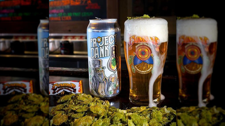 Alabama: Hitchhiker IPA, Alaska - Within Us IPA, Arizona: Spellbinder IPA, Arkansas: Trash Panda IPA, California: Pliny the Younger, Colorado: Juicy Bits, Connecticut: Locust Reign, Delaware: 120 Minute IPA, Florida: Jai Alai IPA, Georgia: Space Lettuce Double IPA, Hawaii: Big Swell IPA, Idaho: Dagger Falls IPA, Illinois: Halogen Farm IPA, Indiana: Lift Off IPA, Iowa: King Sue Double Hazy IPA, Kansas: Stormchaser IPA, Kentucky: Heller Heaven, Louisiana: Ghost in the Machine IPA, Maine: Lunch IPA, Maryland: Double Duckpin Double IPA, Massachusetts: Julius IPA, Michigan: Two Hearted IPA, Minnesota: Furious IPA, Mississippi: Crowd Control IPA, MIssouri: OJ Run IPA, Montana: Bent Nail IPA, Nebraska: Fairy Nectar DDH IPA, Nevada: Disco Ninja IPA, New Hampshire: Finestkind IPA, New Jersey: Head High IPA, New Mexico: Project Dank, New York: Broccoli, North Carolina: Citraquench'l, North Dakota: Ectogasm IPA, Ohio: Bodhi, Oklahoma: Everything Rhymes with Orange, Oregon: RPM IPA, Pennsylvania: Perpetual IPA, Rhode Island: Chosen One IPA, South Carolina: Sungazer IPA, South Dakota: SoDank, Tennessee: Attention Please!, Texas: Electric Jellyfish IPA, Utah: Ferda IPA, Vermont: Fiddlehead IPA, Virginia: Falcon Smash, Washington: Blimey That's Bitter, West Virginia: Devil's Anse IPA, Wisconsin: Chaos Pattern, Wyoming: 2x4 DIPA, Methodology