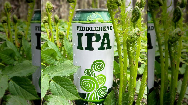 Alabama: Hitchhiker IPA, Alaska - Within Us IPA, Arizona: Spellbinder IPA, Arkansas: Trash Panda IPA, California: Pliny the Younger, Colorado: Juicy Bits, Connecticut: Locust Reign, Delaware: 120 Minute IPA, Florida: Jai Alai IPA, Georgia: Space Lettuce Double IPA, Hawaii: Big Swell IPA, Idaho: Dagger Falls IPA, Illinois: Halogen Farm IPA, Indiana: Lift Off IPA, Iowa: King Sue Double Hazy IPA, Kansas: Stormchaser IPA, Kentucky: Heller Heaven, Louisiana: Ghost in the Machine IPA, Maine: Lunch IPA, Maryland: Double Duckpin Double IPA, Massachusetts: Julius IPA, Michigan: Two Hearted IPA, Minnesota: Furious IPA, Mississippi: Crowd Control IPA, MIssouri: OJ Run IPA, Montana: Bent Nail IPA, Nebraska: Fairy Nectar DDH IPA, Nevada: Disco Ninja IPA, New Hampshire: Finestkind IPA, New Jersey: Head High IPA, New Mexico: Project Dank, New York: Broccoli, North Carolina: Citraquench'l, North Dakota: Ectogasm IPA, Ohio: Bodhi, Oklahoma: Everything Rhymes with Orange, Oregon: RPM IPA, Pennsylvania: Perpetual IPA, Rhode Island: Chosen One IPA, South Carolina: Sungazer IPA, South Dakota: SoDank, Tennessee: Attention Please!, Texas: Electric Jellyfish IPA, Utah: Ferda IPA, Vermont: Fiddlehead IPA, Virginia: Falcon Smash, Washington: Blimey That's Bitter, West Virginia: Devil's Anse IPA, Wisconsin: Chaos Pattern, Wyoming: 2x4 DIPA, Methodology