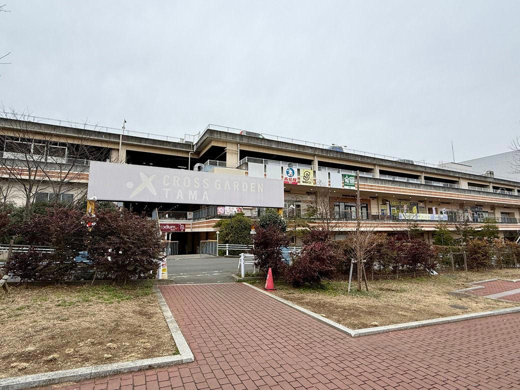 空き区画だらけ、通行禁止の箇所も, 一部は完全に廃墟化「クロスガーデン多摩」, 駅前の商業集積から離れている, 集客フックの核テナントが撤退, 「クロスガーデン多摩」廃墟化の3要因