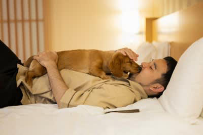 犬が気を遣っているときにみせる行動5つ, 1.そっと寄り添って静かにそばにいる, 2.顔を覗き込む・表情をうかがう, 3.手や顔を舐める・鼻先をくっつける, 4.少し距離を置いて静かに待つ, 5.クレートやベッドで大人しくしている, 犬にも“思いやり”はあるの？
