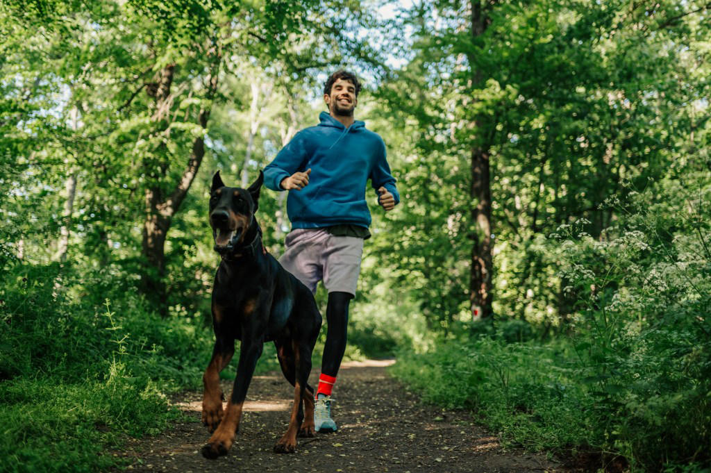 Large Dog Preferences and Personality Traits, Small Dogs and Caregiving Behavior, Structure, Purpose and Emotional Reward, Why the Research Isn’t Definitive