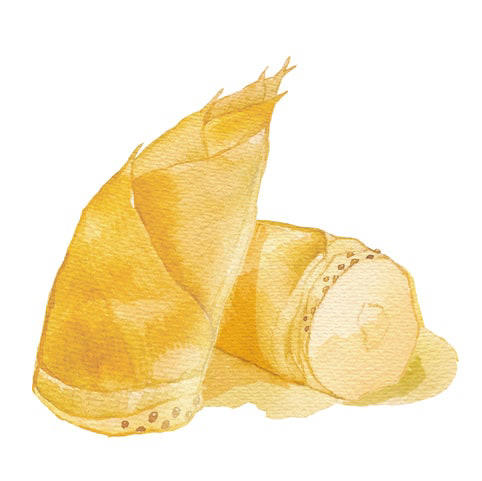 加工法ごとの特徴, 新鮮なほどおいしい！「たけのこの刺身風」, 贅沢に、まるごとつかって「たけのこ姿寿司」, すりゴマでアレンジ「たけのこきんぴら」, 滋味深い採れたての風味を凝縮！「たけのこステーキ」, 調和のとれた和の味わい「たけのことアオサのスープ」, 油揚げと味噌で和風アレンジ「メンマとお揚げのピザ」, メンマの塩気がアクセント！「メンマとサバ缶のサラダ」, 「FRaU×SDGsプロジェクト」の　会員になりませんか？【登録受付中】
