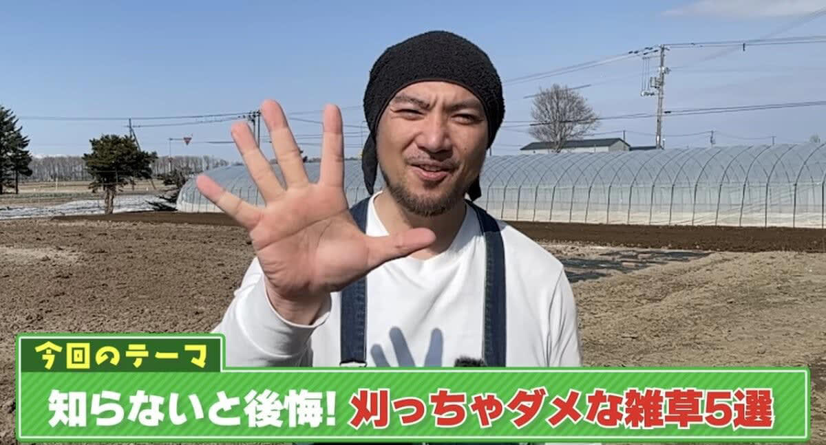 雑草は抜かないで！ 春に抜いちゃダメな雑草5選, そもそも「雑草」ってなに？, 雑草＝厄介者？ 実は働き者も多い！, 雑草は「抜く」より「刈る」が正解, 雑草を抜くデメリット, 春に抜いちゃダメな雑草5選, ① カラスノエンドウ（マメ科）, ② ハコベ（ナデシコ科）, ③ オオイヌノフグリ（オオバコ科）, ④ カタバミ（カタバミ科）, ⑤ ヨモギ（キク科）, 【まとめ】雑草は「敵」じゃなくて「味方」