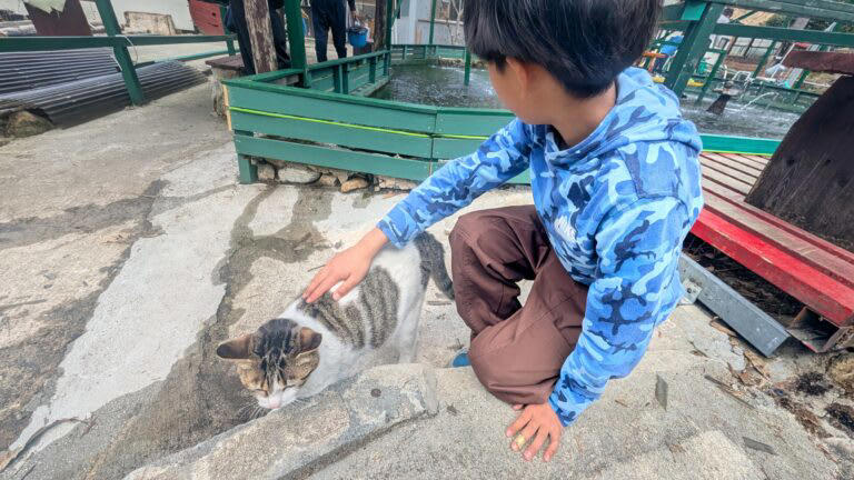 山なのにヒラメ？！, 釣具・餌付きでワンコイン！, 子どもでもちゃんと釣れる！, 釣った魚はその場で！, 春休みでも空いてた穴場スポット
