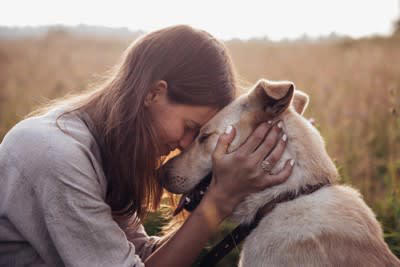 犬が飼い主に話しかけられたときの心理5選, 3.どうしたんだろう？, 4.うるさいなあ, 犬に声をかける際の注意点, 声のトーンとボリュームに気をつけましょう, 言葉の一貫性を保つ, タイミングを見極める