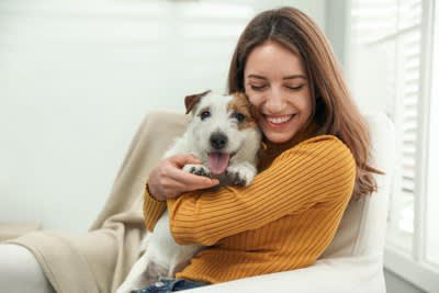 犬が飼い主に話しかけられたときの心理5選, 3.どうしたんだろう？, 4.うるさいなあ, 犬に声をかける際の注意点, 声のトーンとボリュームに気をつけましょう, 言葉の一貫性を保つ, タイミングを見極める