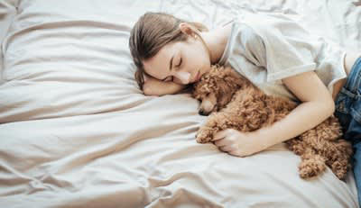 犬が飼い主の『おなかに乗って寝る』心理５選, 1.安心して眠りたい, 3.寒さを凌ぎたい, 4.寝心地が良いから, 5.不安を感じている, 寝床が一緒でも大丈夫？注意点を解説