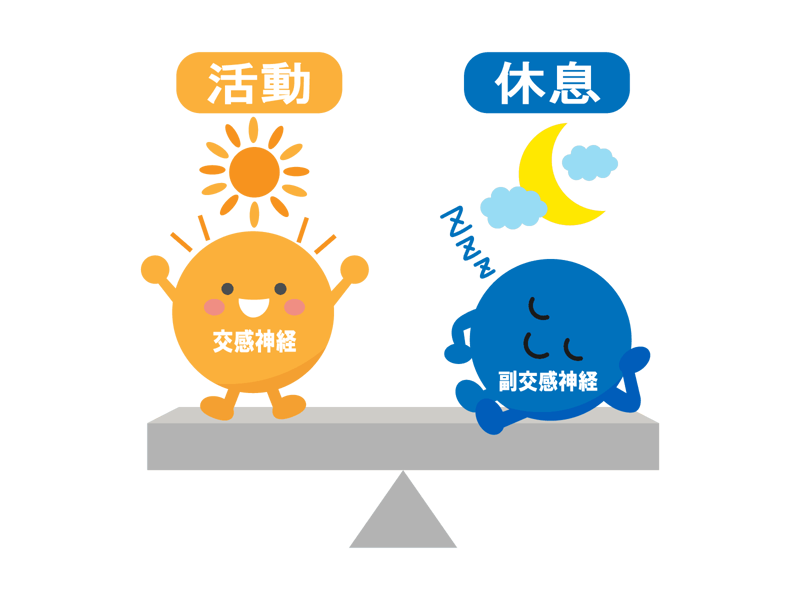 その不調、本当に年齢のせい？, 実は「吸いすぎ」が疲れを招く, 簡単2分！今日からできる「吐く呼吸」, 頑張る前に、まず整える