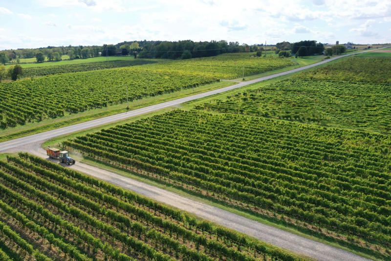The untapped potential of the Finger Lakes, Creating world-class viticulture , Digging into the greatest terroirs and discovering more , Finger Lakes vineyards to seek out