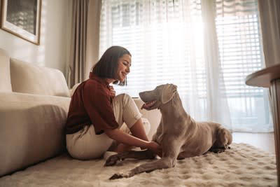 もしやご不満？犬が不満を抱いているときの行動, じっと飼い主さんを見つめる, 飼い主さんにまとわりつく, 犬が不満やストレスを感じてしまう原因, 自分の要求が通らない, 自分の嫌なことをされている