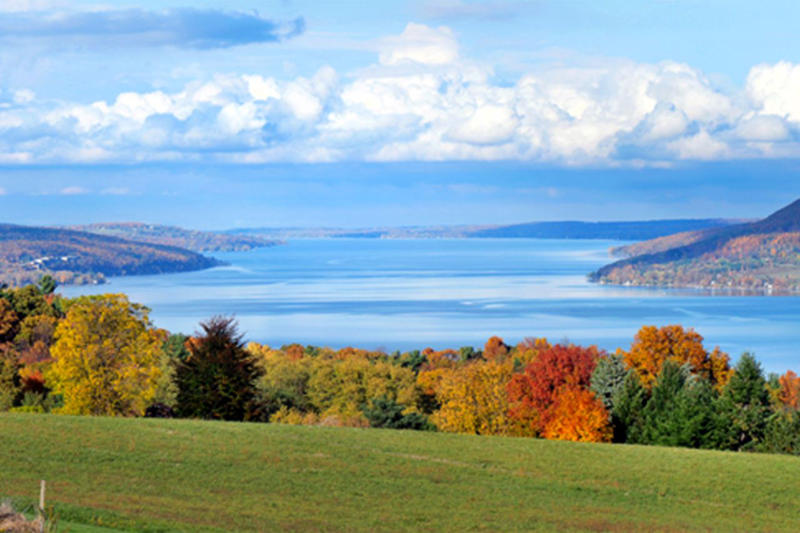 The untapped potential of the Finger Lakes, Creating world-class viticulture , Digging into the greatest terroirs and discovering more , Finger Lakes vineyards to seek out
