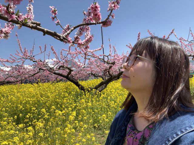 ・ひとり花見をする男性の取材で, ・ひとり花見の素晴らしさを伝えたい, ・メリット①準備も場所取りも不要, ・メリット②人と予定を合わせなくていい, ・メリット③じっくり桜を見られる, ・もっとみんなひとり花見するべし