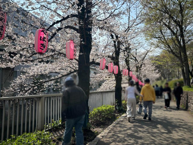 ・ひとり花見をする男性の取材で, ・ひとり花見の素晴らしさを伝えたい, ・メリット①準備も場所取りも不要, ・メリット②人と予定を合わせなくていい, ・メリット③じっくり桜を見られる, ・もっとみんなひとり花見するべし