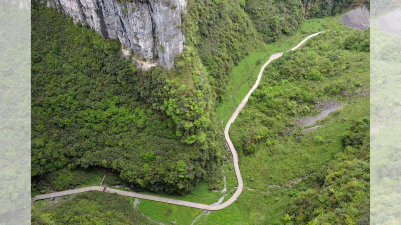 Inside the sinkhole lies a hidden ecosystem. There’s a forest, an underground river, waterfalls—and even its own weather system with fog and constant moisture.