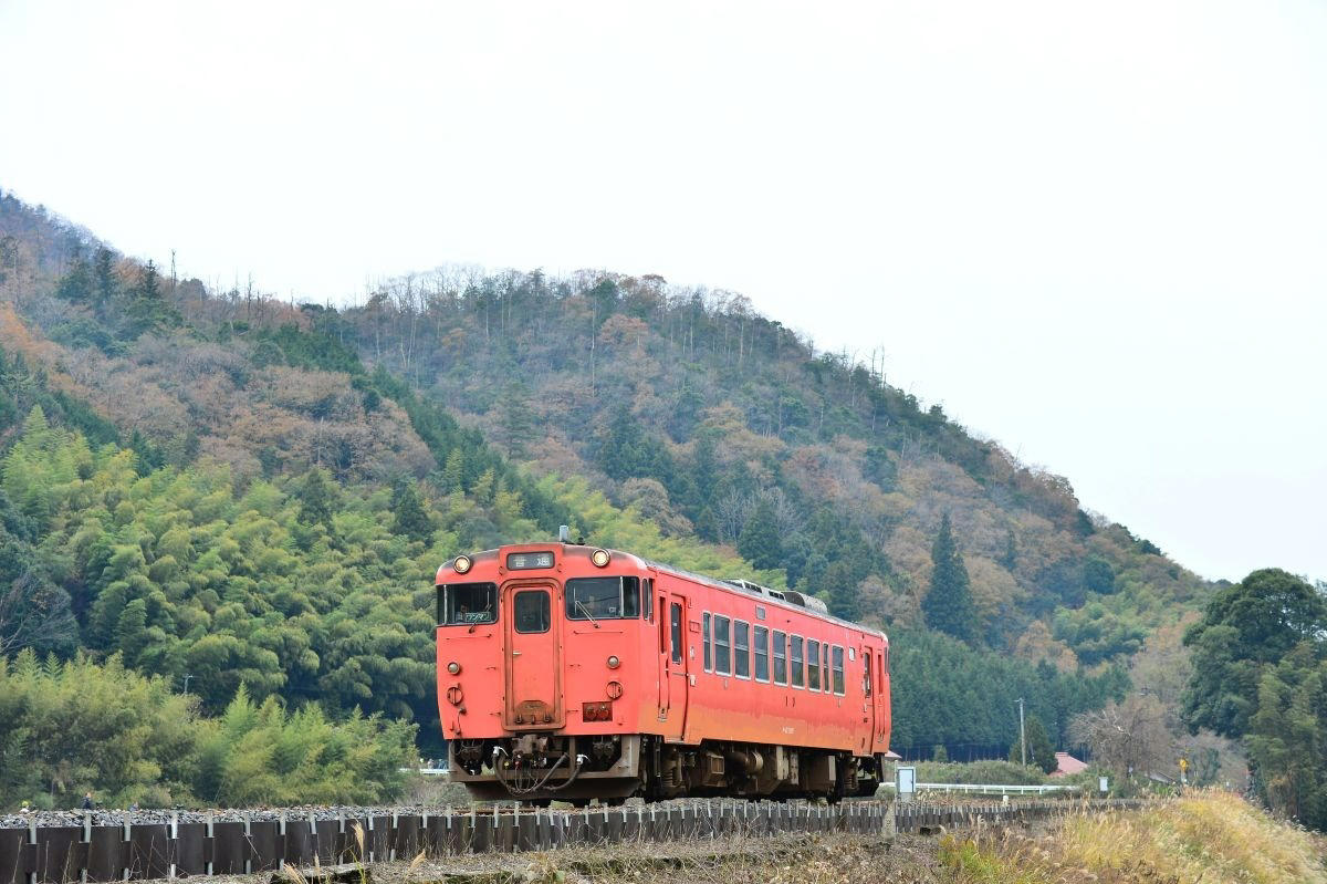 地域の足として観光路線として活躍する山口線（JR西日本）, 県都への鉄道から陰陽連絡鉄道へ発展, 貴重な気動車を活用した「大迂回・再婚列車」, 前面展望を楽しむなら〔スーパーおき〕がおすすめ, レトロ車両を新製し半世紀近く走り続ける〔SLやまぐち号〕, 山口線の見どころ, 25‰の急勾配を力強く登るSL列車は迫力満点, 谷あいの田園風景で四季の自然美を楽しむ, 小京都・津和野で転車台を見学し日本海へ下る, 山口線（JR西日本）データ