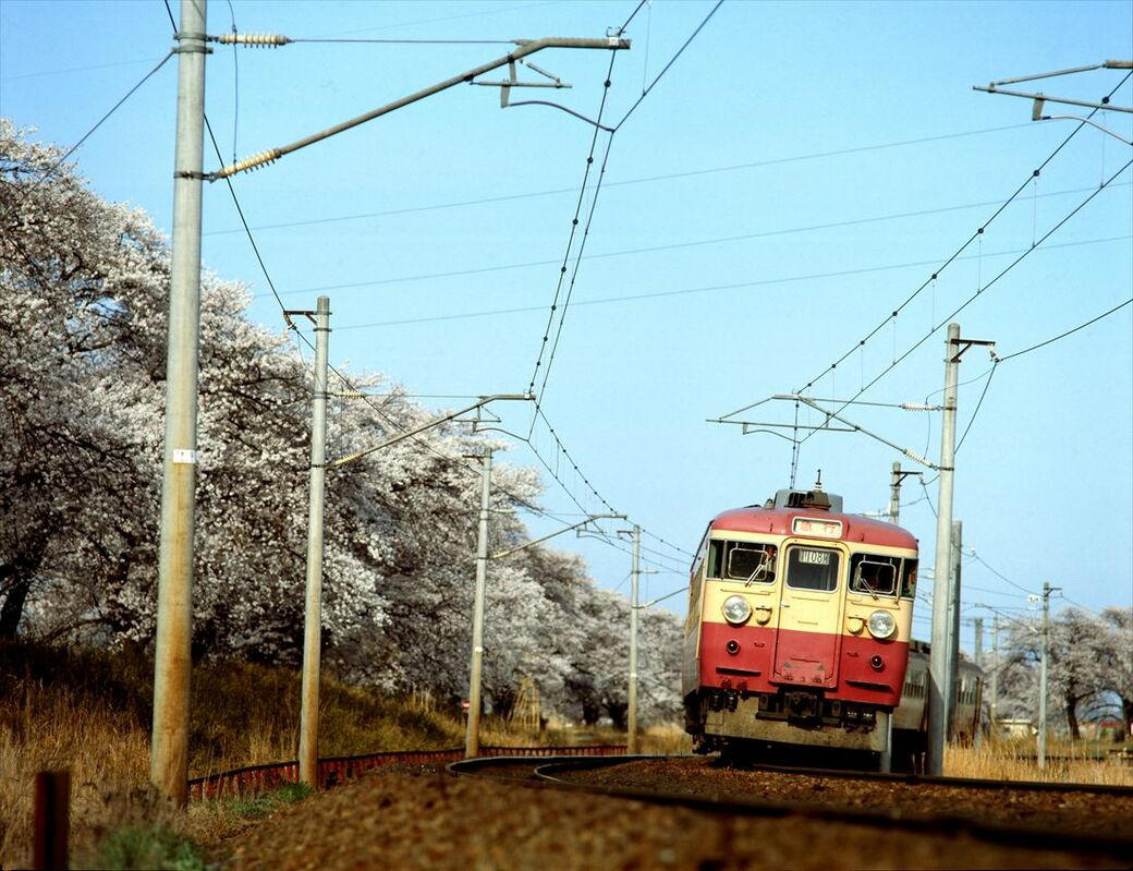 「急行型電車」の登場, 急行型の元祖、153系, 急行型の代表格、165系, ローズピンクの「交直流急行型」, 北陸本線の電車急行黄金時代