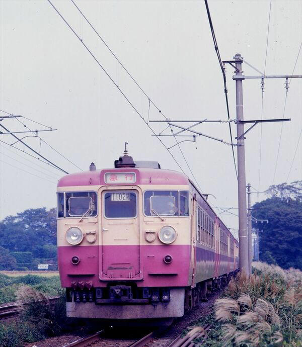 「急行型電車」の登場, 急行型の元祖、153系, 急行型の代表格、165系, ローズピンクの「交直流急行型」, 北陸本線の電車急行黄金時代