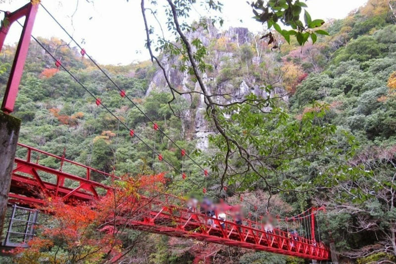地域の足として観光路線として活躍する山口線（JR西日本）, 県都への鉄道から陰陽連絡鉄道へ発展, 貴重な気動車を活用した「大迂回・再婚列車」, 前面展望を楽しむなら〔スーパーおき〕がおすすめ, レトロ車両を新製し半世紀近く走り続ける〔SLやまぐち号〕, 山口線の見どころ, 25‰の急勾配を力強く登るSL列車は迫力満点, 谷あいの田園風景で四季の自然美を楽しむ, 小京都・津和野で転車台を見学し日本海へ下る, 山口線（JR西日本）データ