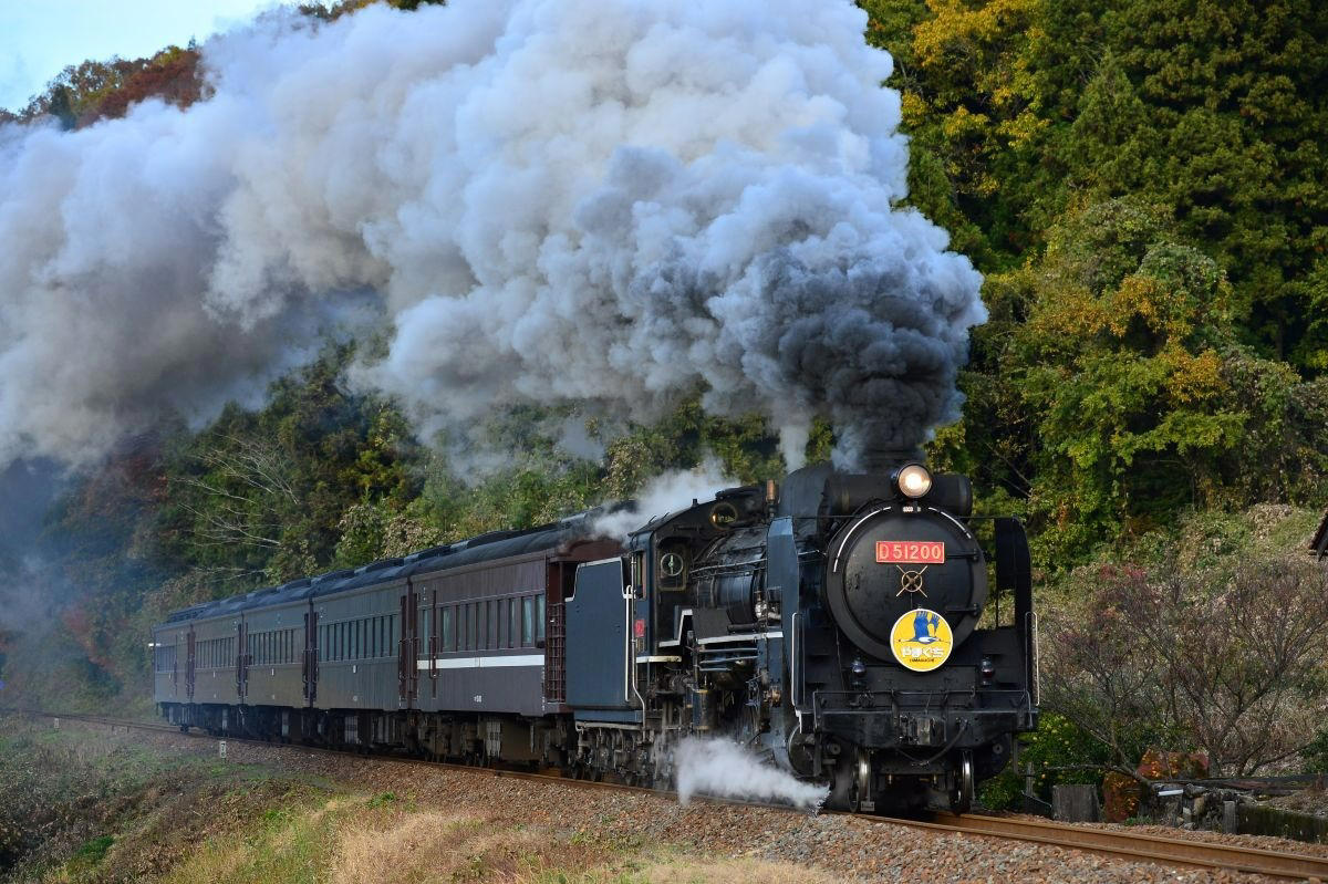 地域の足として観光路線として活躍する山口線（JR西日本）, 県都への鉄道から陰陽連絡鉄道へ発展, 貴重な気動車を活用した「大迂回・再婚列車」, 前面展望を楽しむなら〔スーパーおき〕がおすすめ, レトロ車両を新製し半世紀近く走り続ける〔SLやまぐち号〕, 山口線の見どころ, 25‰の急勾配を力強く登るSL列車は迫力満点, 谷あいの田園風景で四季の自然美を楽しむ, 小京都・津和野で転車台を見学し日本海へ下る, 山口線（JR西日本）データ