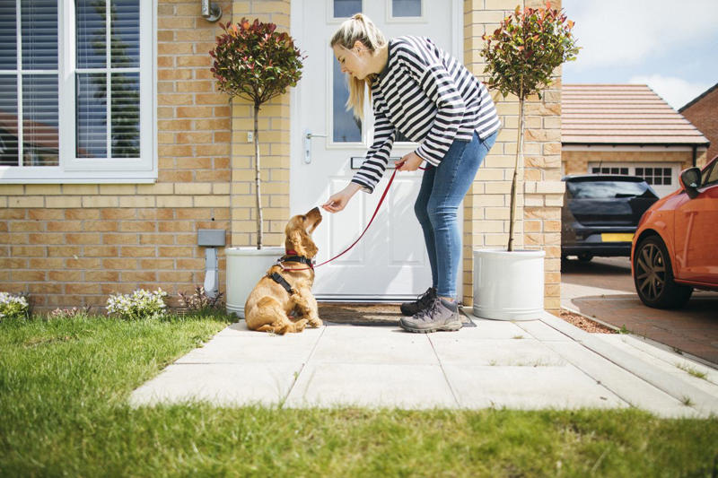 The Importance of Bonding With Your Dog, Create a Routine, Meet Their Physical and Mental Needs, Understand Their Cues, Advocate for Your Dog and Their Needs, Use Reward-Based Training, Strong Bonds Mean Confident, Well-Behaved Pets
