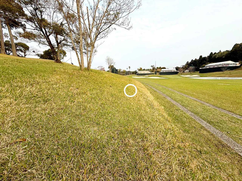 なぜ左打ちを選択し、右で打ち直したのか, 「不合理なストローク」の境界線, 確認に10分を要した競技委員の“真意”, 関連するルールの条項（R&amp;A USGA「ゴルフ規則オフィシャルガイド」より）