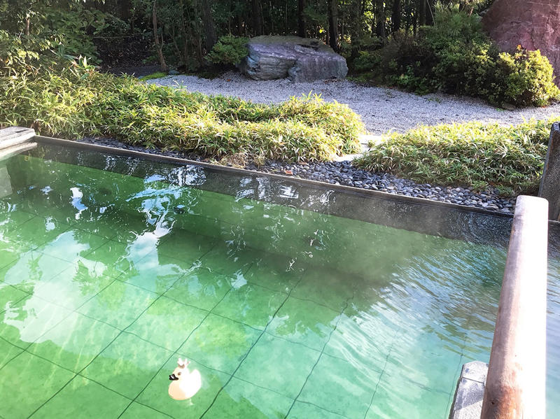 朝食バイキングが豪華すぎる名旅館, 飛騨地方の郷土料理に舌鼓を打つ秘湯, 朝夕、川床で絶品料理をいただける湯宿, 旨み凝縮、名物の地獄蒸しを堪能できる宿