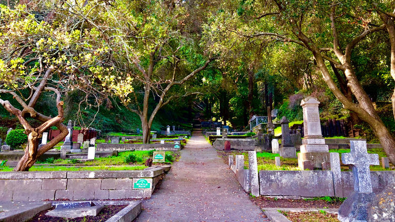 Hike to the Pogonip Koi Pond in the redwoods, Help maintain one of California's oldest cemeteries, Take a dance class in the lavish Palomar Ballroom, Have a beach bonfire at Seabright Beach, Methodology