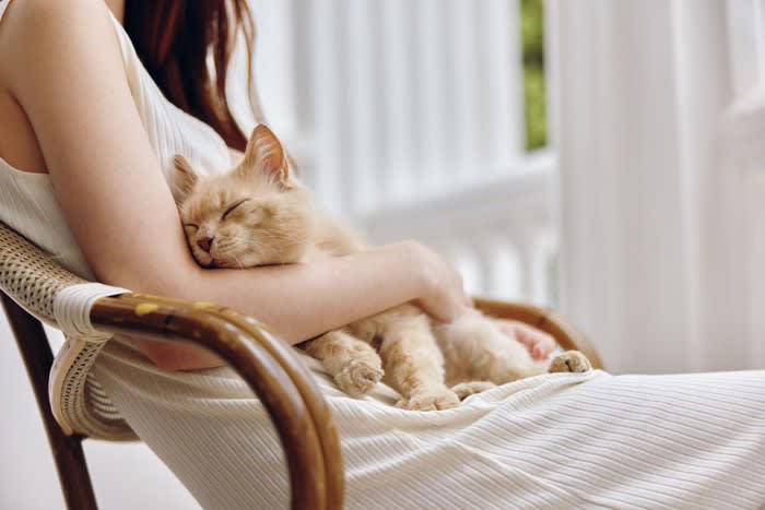 甘えん坊な猫に育てるための方法, 生活環境の安心感を高める, 瞬きや視線の送り方に気をつける, 短い時間のコミュニケーションを繰り返す, 猫の好む触り方を理解する, 穏やかな声掛けを習慣にする, 猫の性格形成の要因, 甘えん坊に育てるために注意したい接し方, 甘やかしすぎない, 執拗に構ったり、追いかけ回したりしない, 大きな音や急な動きを避ける
