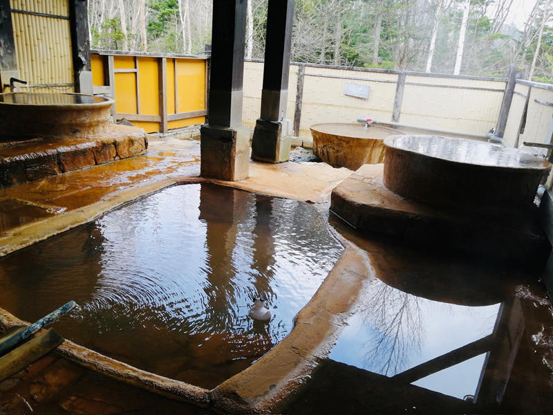 朝食バイキングが豪華すぎる名旅館, 飛騨地方の郷土料理に舌鼓を打つ秘湯, 朝夕、川床で絶品料理をいただける湯宿, 旨み凝縮、名物の地獄蒸しを堪能できる宿