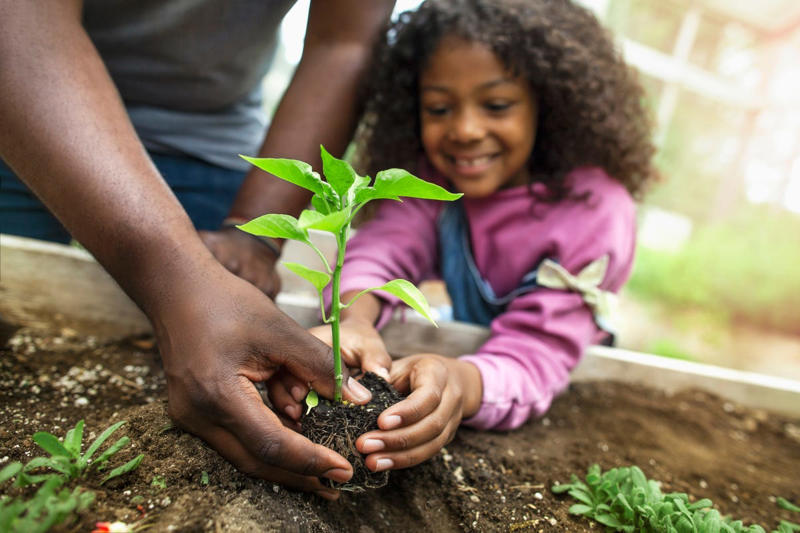 Go for a Nature Walk or Hike, Try a Color Scavenger Hunt , Search for Backyard Bugs, Play Tag Variations, Create a Nature Collage, Set Up an Obstacle Course, Build a Fairy House, Play Capture the Flag, Help With Gardening, Outdoor Storytime , Ride Bikes or Scooters, Play “What Time Is It, Mr. Fox?”, Pitch In With Outdoor Chores , Make a Mud Kitchen, Go Stargazing