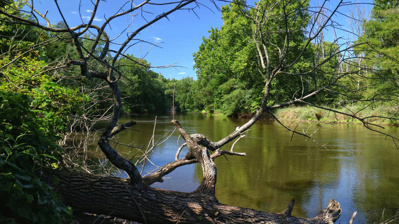 Largest park — Brown County State Park, Nashville, Best lake access — Indiana Dunes State Park, Chesterton, Best for history buffs — Mounds State Park, Anderson, Least crowded — Tippecanoe River State Park, Winemac, Most well-reviewed — Turkey Run State Park, Marshall, Methodology