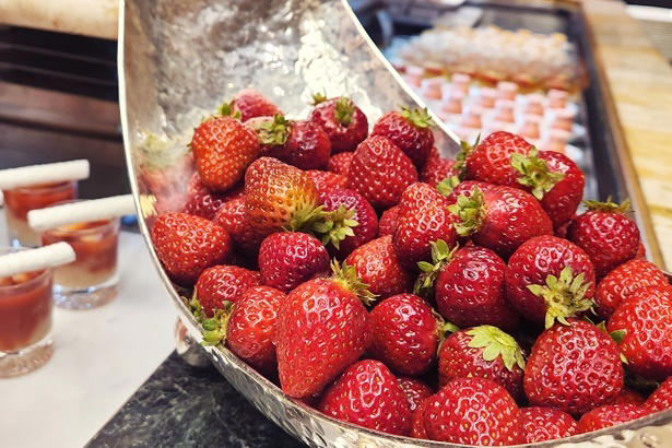 フレッシュいちごとアイデア満載のスイーツで、いちごのおいしさを味わい尽くす, ブランドいちごを好きなだけ食べ比べ, できたてを味わえる「いちご大福」や、「チョコレートファウンテン」も必食, セイヴォリーのおいしさも人気の理由