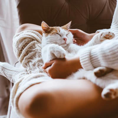 1.大きな猫だと思っている, 2.母親のように思っている, 3.鈍くさいと思っている, 4.ご飯をくれる人だと思っている