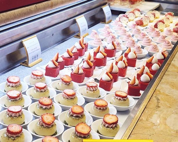 フレッシュいちごとアイデア満載のスイーツで、いちごのおいしさを味わい尽くす, ブランドいちごを好きなだけ食べ比べ, できたてを味わえる「いちご大福」や、「チョコレートファウンテン」も必食, セイヴォリーのおいしさも人気の理由