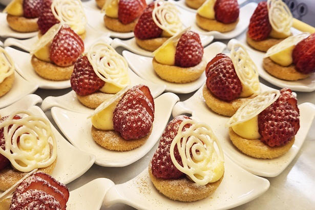 フレッシュいちごとアイデア満載のスイーツで、いちごのおいしさを味わい尽くす, ブランドいちごを好きなだけ食べ比べ, できたてを味わえる「いちご大福」や、「チョコレートファウンテン」も必食, セイヴォリーのおいしさも人気の理由