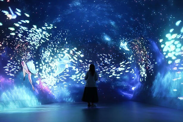 ワンダリア横浜はどんな施設？臨場感のある映像で自然・生き物との出合いを楽しめる, 何度でも楽しめる360度の映像表現！専用アプリで“遭遇体験”も, 深海ピザにカラフルドーナツも。五感で楽しむオリジナルグルメ＆限定アイテム, 駅徒歩約1分の好アクセス！「BASEGATE横浜関内」もグルメ＆ショッピングの宝庫, ワンダリア横浜の営業時間・料金・アクセス