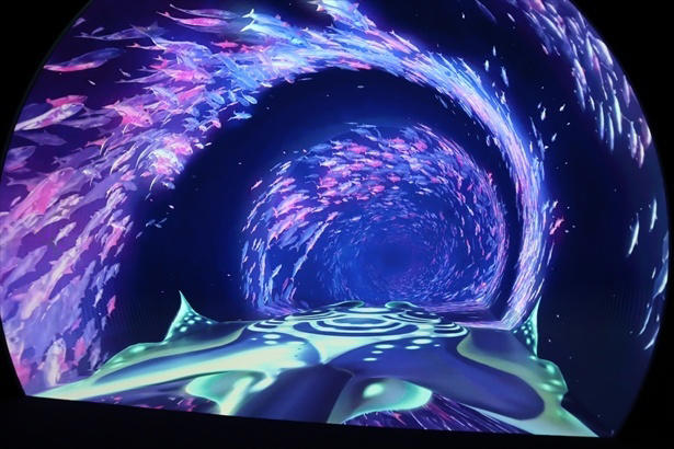 ワンダリア横浜はどんな施設？臨場感のある映像で自然・生き物との出合いを楽しめる, 何度でも楽しめる360度の映像表現！専用アプリで“遭遇体験”も, 深海ピザにカラフルドーナツも。五感で楽しむオリジナルグルメ＆限定アイテム, 駅徒歩約1分の好アクセス！「BASEGATE横浜関内」もグルメ＆ショッピングの宝庫, ワンダリア横浜の営業時間・料金・アクセス