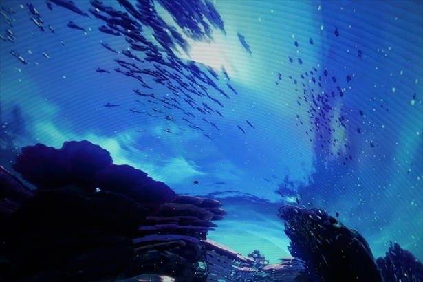 ワンダリア横浜はどんな施設？臨場感のある映像で自然・生き物との出合いを楽しめる, 何度でも楽しめる360度の映像表現！専用アプリで“遭遇体験”も, 深海ピザにカラフルドーナツも。五感で楽しむオリジナルグルメ＆限定アイテム, 駅徒歩約1分の好アクセス！「BASEGATE横浜関内」もグルメ＆ショッピングの宝庫, ワンダリア横浜の営業時間・料金・アクセス