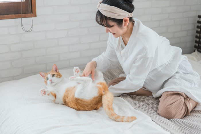 猫が足元で「ゴロンと横たわる」4つの理由, 1.「大好き！」という信頼の証, 2.「遊んで！」とかまってほしい, 3.「ここは自分の場所」という主張, 4.ごはんやオヤツの催促, やってはいけないNGな対応, 猫が喜ぶ「上手な応え方」