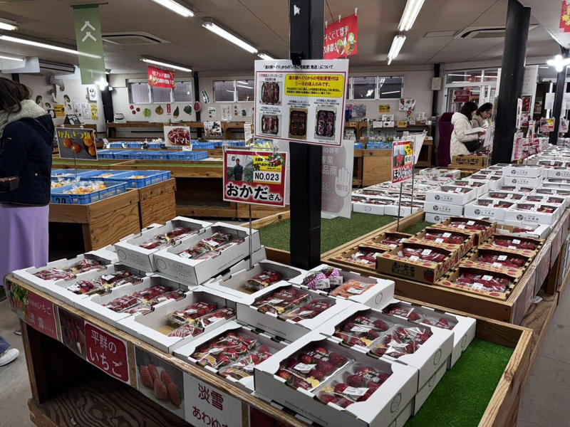 この春、絶対に行ってほしい道の駅！ 春の香りに包まれるドライブ旅へ, 1｜施設を彩る桜並木と極上の滞在体験, 道の駅たかねざわ元気あっぷむら（栃木県高根沢町）, 2｜温室に広がる春色！ 一足早い花摘み体験, 道の駅おおつの里 花倶楽部（千葉県南房総市）, 3｜世界一の渦潮と淡路島グルメの競演, 道の駅うずしお（兵庫県南あわじ市）, 4｜予約殺到！ 希少なブランドいちごの聖地, 道の駅大和路へぐり（奈良県平群町）, 5｜富山湾の神秘！ 春限定のホタルイカを味わい尽くす, 道の駅ウェーブパークなめりかわ（富山県滑川市）, 【まとめ】道の駅で、日本の春を遊び尽くそう