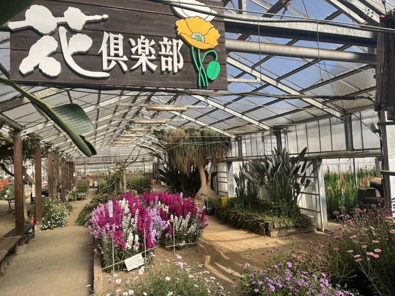 この春、絶対に行ってほしい道の駅！ 春の香りに包まれるドライブ旅へ, 1｜施設を彩る桜並木と極上の滞在体験, 道の駅たかねざわ元気あっぷむら（栃木県高根沢町）, 2｜温室に広がる春色！ 一足早い花摘み体験, 道の駅おおつの里 花倶楽部（千葉県南房総市）, 3｜世界一の渦潮と淡路島グルメの競演, 道の駅うずしお（兵庫県南あわじ市）, 4｜予約殺到！ 希少なブランドいちごの聖地, 道の駅大和路へぐり（奈良県平群町）, 5｜富山湾の神秘！ 春限定のホタルイカを味わい尽くす, 道の駅ウェーブパークなめりかわ（富山県滑川市）, 【まとめ】道の駅で、日本の春を遊び尽くそう