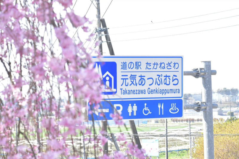 この春、絶対に行ってほしい道の駅！ 春の香りに包まれるドライブ旅へ, 1｜施設を彩る桜並木と極上の滞在体験, 道の駅たかねざわ元気あっぷむら（栃木県高根沢町）, 2｜温室に広がる春色！ 一足早い花摘み体験, 道の駅おおつの里 花倶楽部（千葉県南房総市）, 3｜世界一の渦潮と淡路島グルメの競演, 道の駅うずしお（兵庫県南あわじ市）, 4｜予約殺到！ 希少なブランドいちごの聖地, 道の駅大和路へぐり（奈良県平群町）, 5｜富山湾の神秘！ 春限定のホタルイカを味わい尽くす, 道の駅ウェーブパークなめりかわ（富山県滑川市）, 【まとめ】道の駅で、日本の春を遊び尽くそう