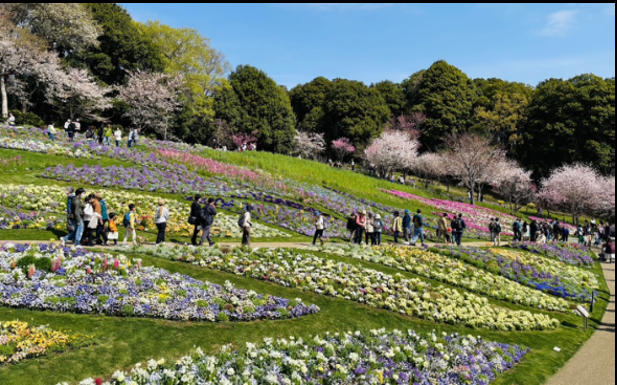 ■＜東京＞上野東照宮ぼたん苑「第四十七回 上野東照宮 春のぼたん祭」, ■＜茨城＞国営ひたち海浜公園「Flowering2026」, ■＜神奈川＞里山ガーデン「里山ガーデンフェスタ」, ■＜広島＞Flower village 花夢の里「芝桜とネモフィラの丘」, ■＜福岡＞国営海の中道海浜公園「海の中道フラワーピクニック2026」
