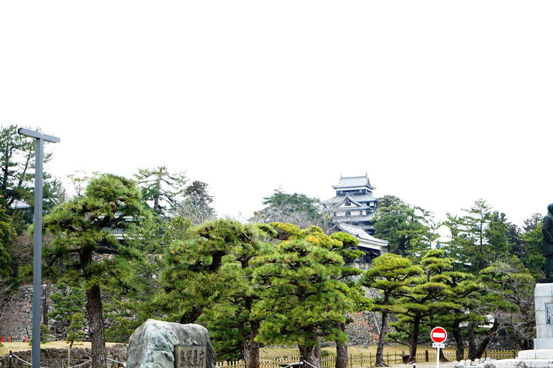 「父上はねえ、立ち尽くしちょるの」の現場へ。国宝の松江城, 蛇と蛙が住んだ場所がまだ残っている。『ばけばけ』ファン必見の地, ヘブンが愛した寺は既に『ばけばけ』の聖地化。あの大亀を見に行く, トキとヘブンが眺めた宍道湖へ。「私もご一緒してええですか」