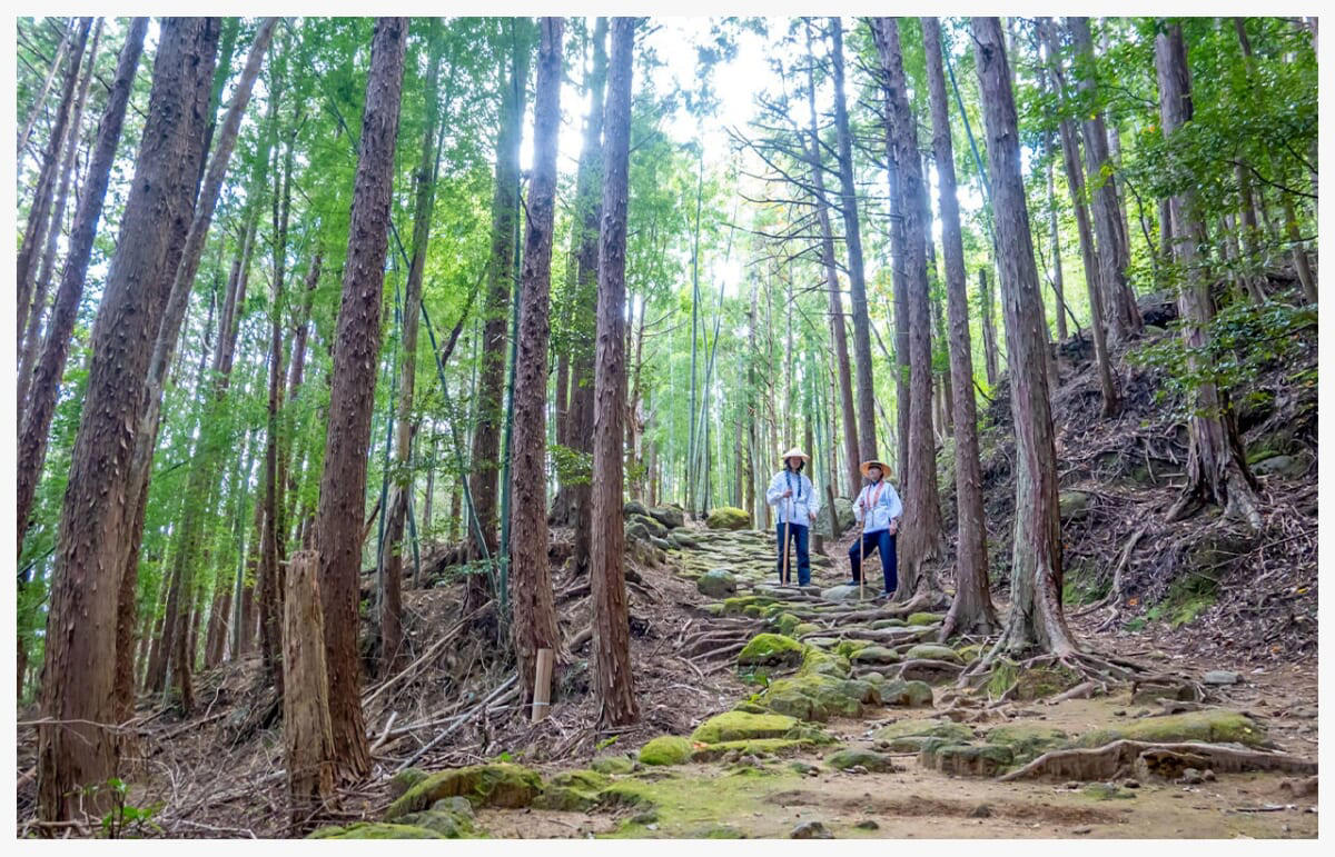 歴史と自然が交差する熊野古道の旅へ, 川の参詣道を舟旅で追体験, 神の宿る巨岩が佇む日本最古の神社, 歴史と自然が紡ぐ悠久の記憶