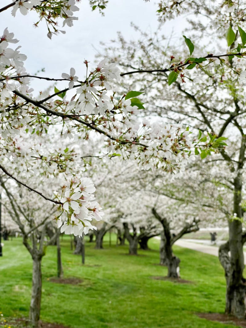 Best Day Trips From Columbus OH Within 1 Hour, Columbus Ohio Day Trips Within 1.5 Hours, Day Trips from Columbus Ohio Within ~2 Hours, Wrapping Up