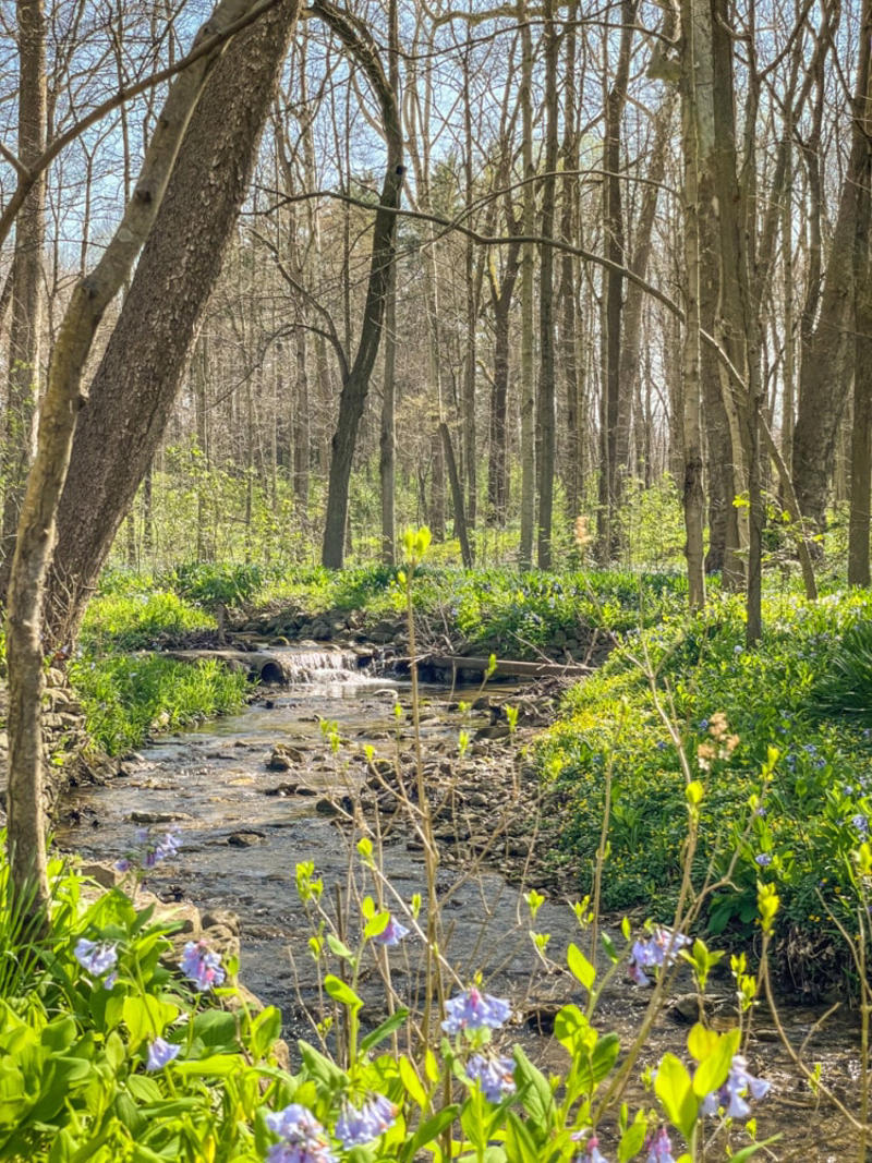 Best Day Trips From Columbus OH Within 1 Hour, Columbus Ohio Day Trips Within 1.5 Hours, Day Trips from Columbus Ohio Within ~2 Hours, Wrapping Up
