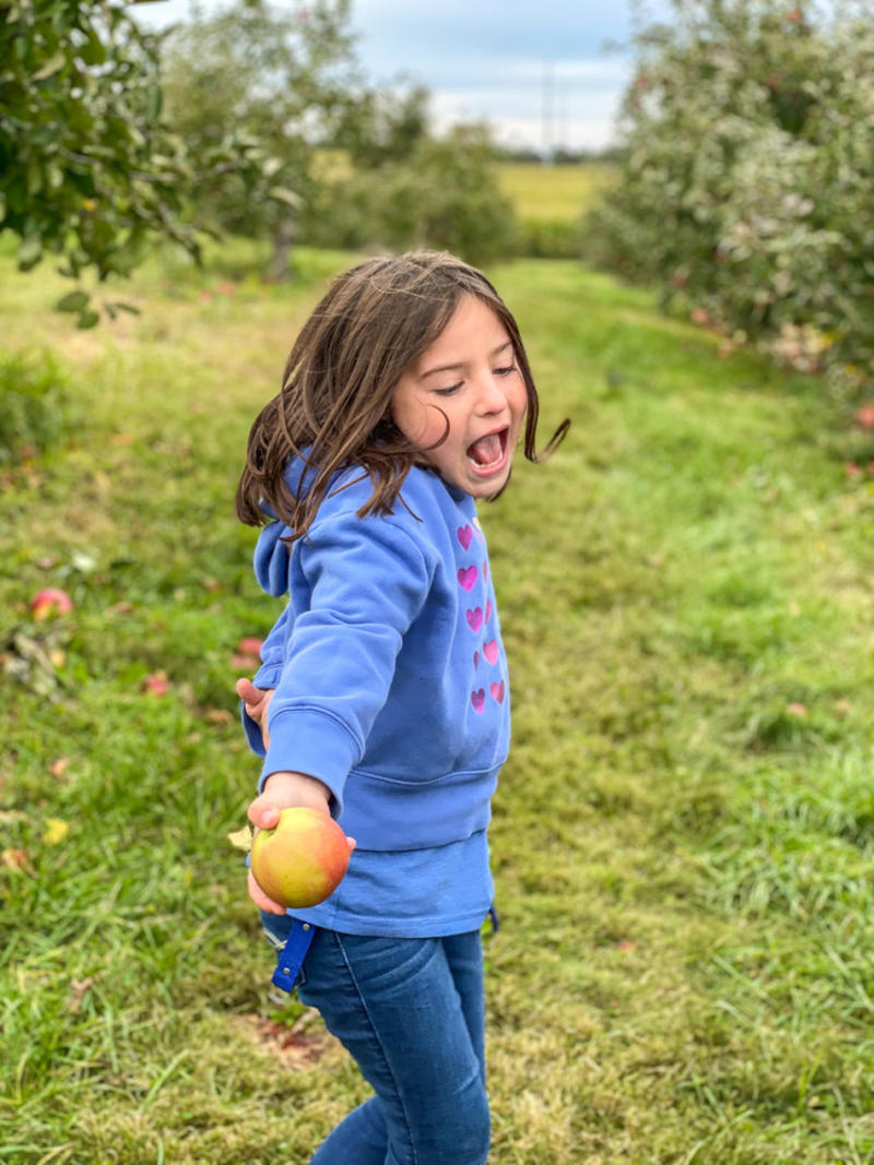 Best Day Trips From Columbus OH Within 1 Hour, Columbus Ohio Day Trips Within 1.5 Hours, Day Trips from Columbus Ohio Within ~2 Hours, Wrapping Up